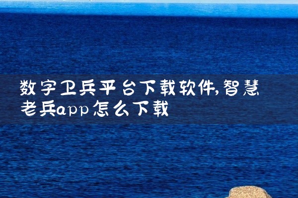 数字卫兵平台下载软件