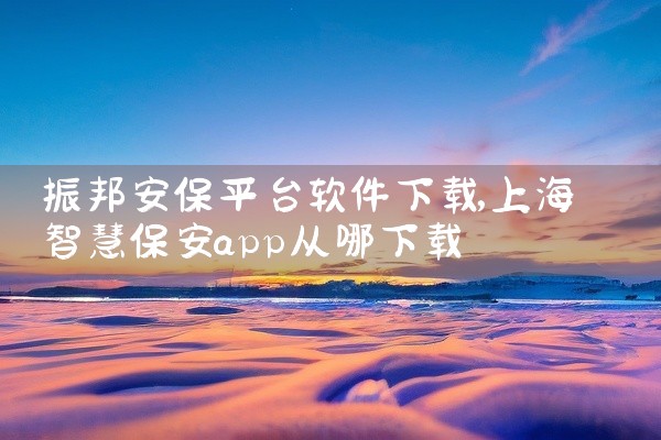 振邦安保平台软件下载