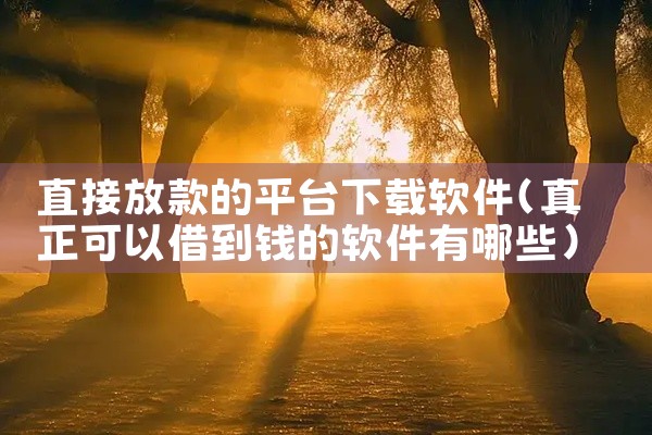 直接放款的平台下载软件