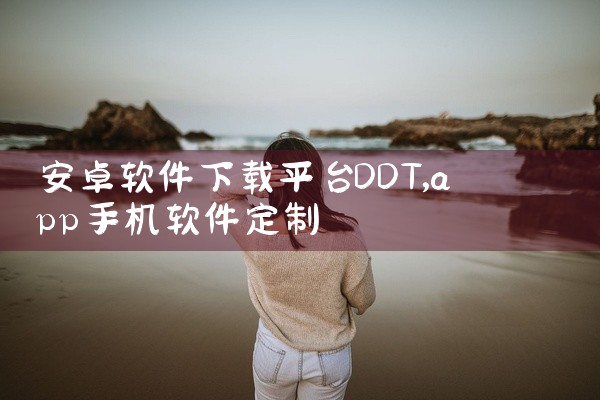安卓软件下载平台DDT