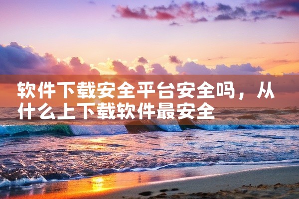 软件下载安全平台安全吗