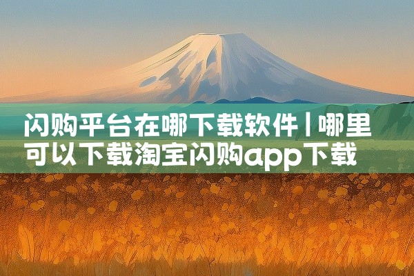 闪购平台在哪下载软件